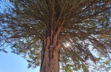 OLEA casa vacanze - Foto 43