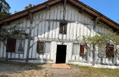 L'océan des Landes - La Dune - Photo 30