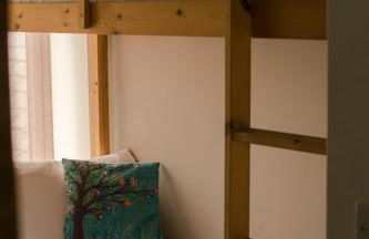 The Allendale Wolf - Foto 32