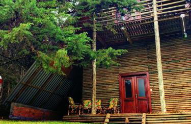 CHALÉ ESTÂNCIA OURO VERDE - Photo 63