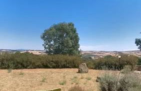 Ianus B&B - Photo 28