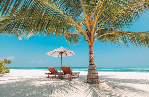 Gorgeous Beachy Chic Condo in Key Biscayne - Foto 18