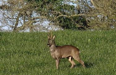 Harbourside - Foto 36