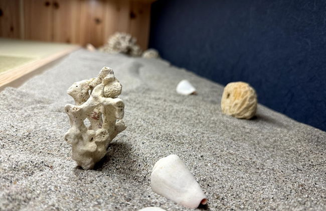 Nara-Ryokan Villa West - Foto 12