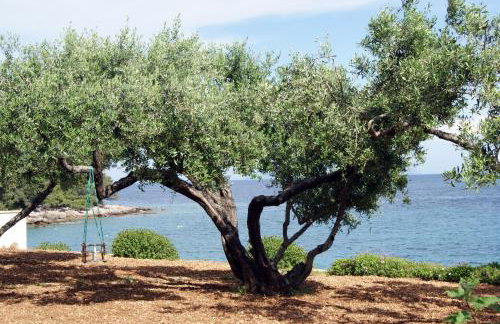 Apartmani Braco Caratan - Foto 19