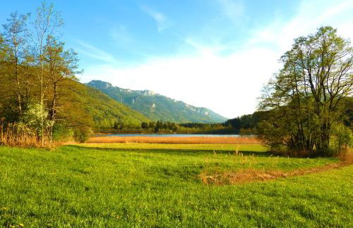 Ferienwohnungen Maurer Höhenberg - Foto 8