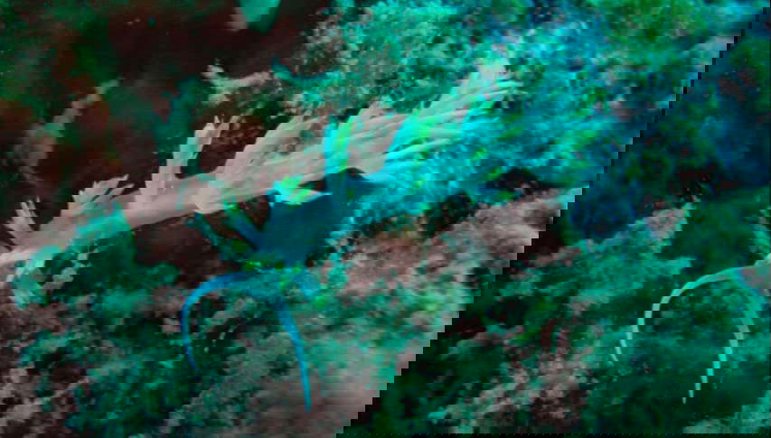 Fundo do mar da região