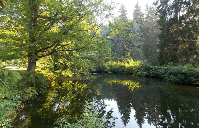 Bad Elster Apartment in Sohl - Foto 22