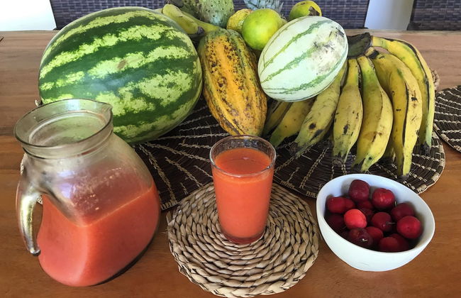 Fazenda Eco Jardim - Foto 31