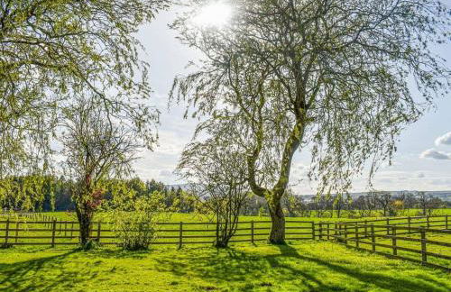 Mallard at Spring Head Farm - Foto 28