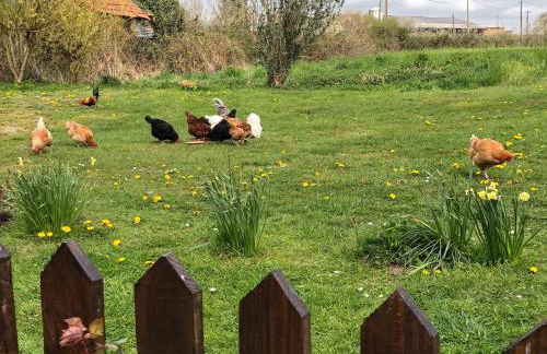 The Old Farm Gite - Foto 18