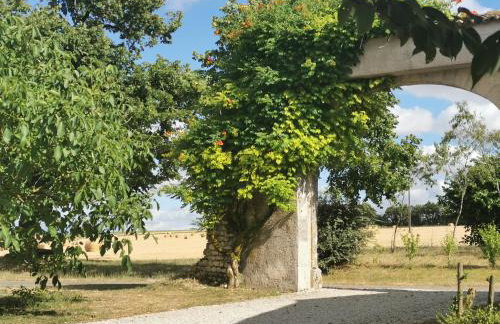 Maison la tour - Photo 41