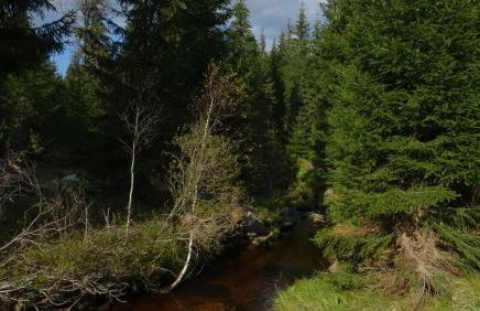 Apartment Almberg - Foto 59