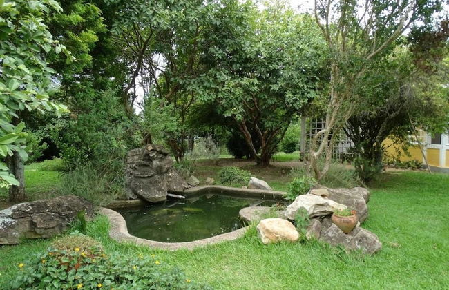 Rústico nas Alturas - Amparo - Photo 15