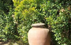 Monte do Ribeiro Baço - Monsaraz - Foto 17