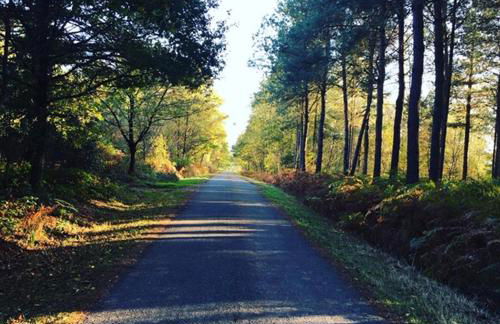 La Grange - Photo 57