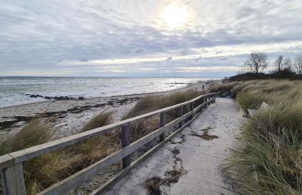 Bärenklau - Foto 16