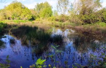 Gîte du bois Richer 4 étoiles avec piscine - Photo 54