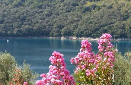 Villa Luma Apartments - Foto 14