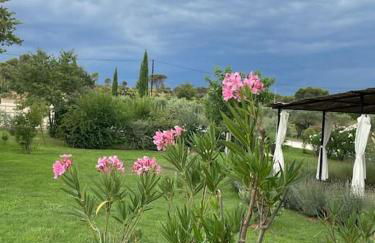 Coin de paradis en Provence - Foto 53