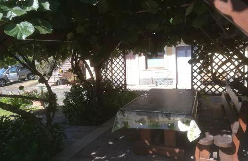 Biologico Dell'Etna - Foto 36