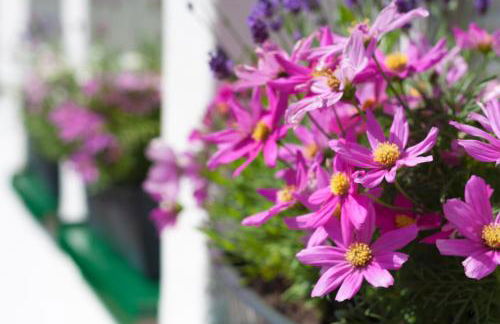 Altenbruecker Muehle - Photo 8