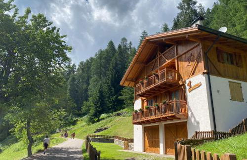 Maso Genziana - Foto 25