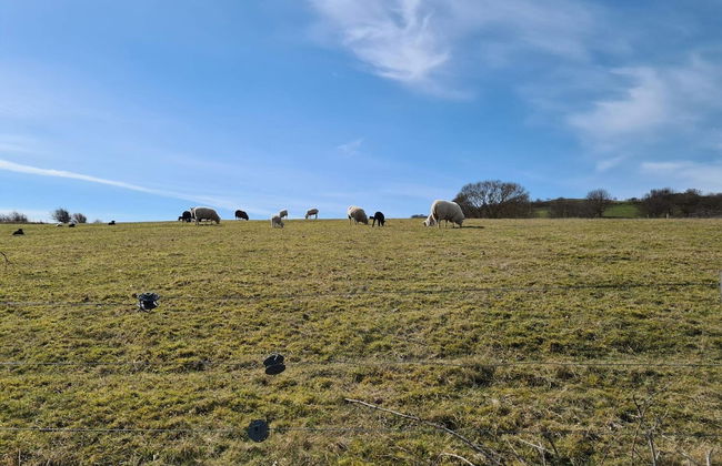 4 Person Holiday Home in Martofte-by Traum - Foto 4