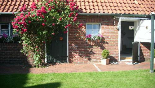 Ahlborns Bluetenhof - Photo 2