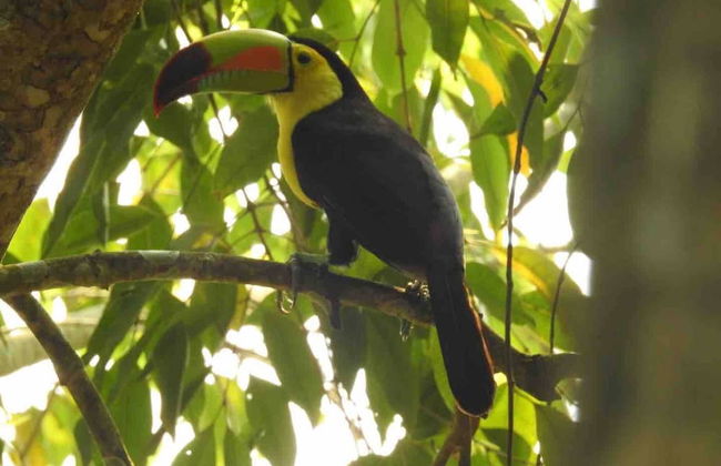 Pilgrim's Paradise Cabin 2 - Photo 18