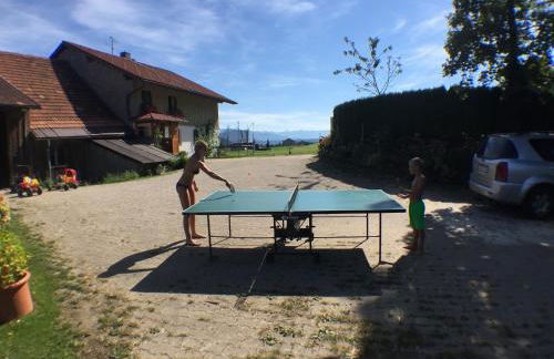 Ferienhof Prinz - Foto 12