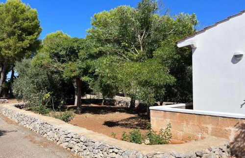 Casette Masseria La Camardia - Foto 35