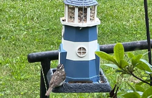 Hilltop house with awesome views - Foto 41