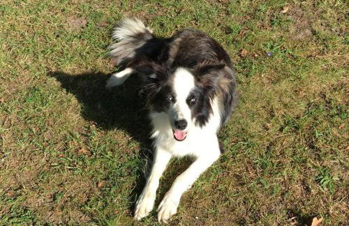 Gite Les Sources - Foto 27