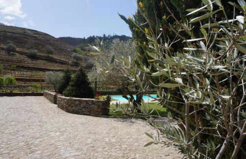 Quinta Madureira - Foto 55