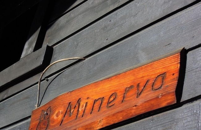 Minerva Antares - Photo 17