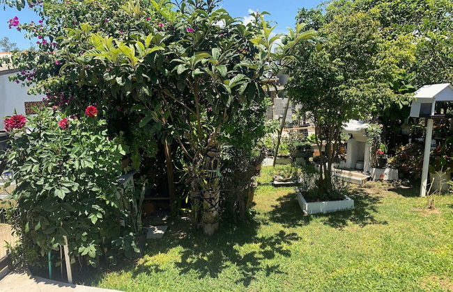 Casa Família: Praia, Campeche e Conforto - Photo 43