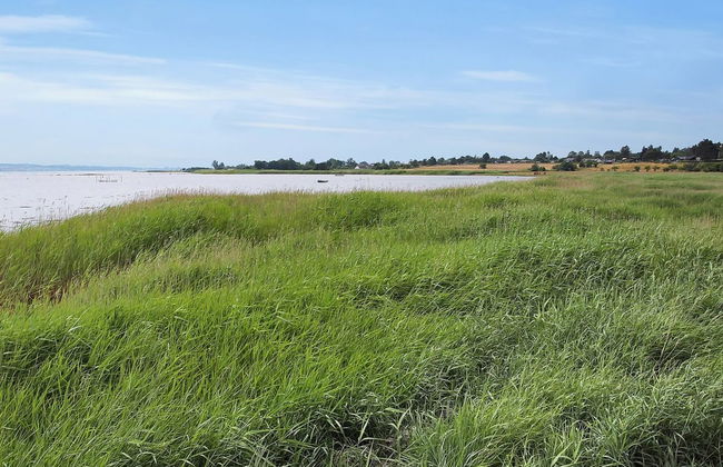 "Jeip" - 400m to the fjord - Foto 11