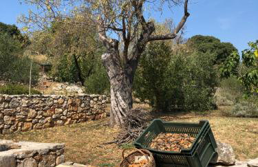 Apartmani Harmonija - Foto 28