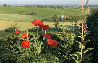 Betula Views - Photo 21