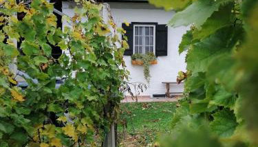 Rural house above the forest - Foto 2