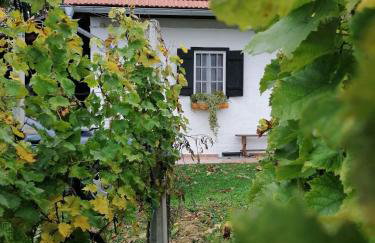 Rural house above the forest - Foto 2