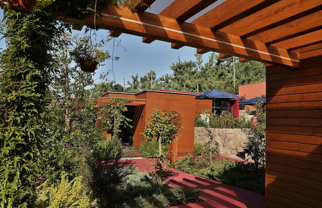 Vale de São Torcato Houses and Wine Bar - Photo 12