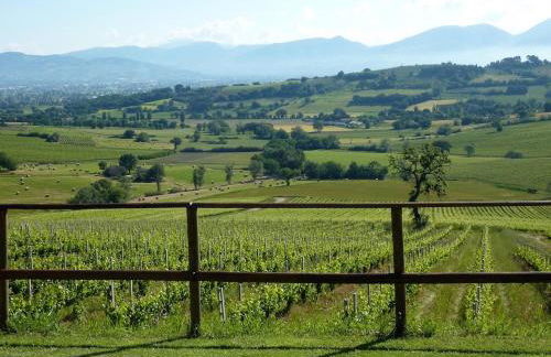 Genius Loci Country Inn - Photo 47