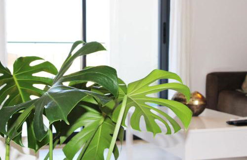 Apartment with terrace Albufeira Olhos de Água - Foto 10