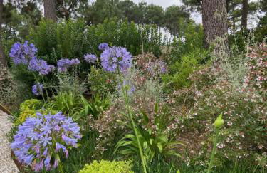 Villa Emak Bakia - Photo 8