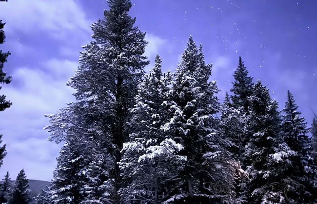 Lichen Huts - Foto 12