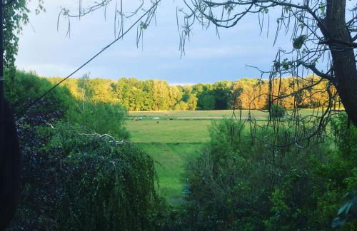 Haus im Grünen Meer - Foto 16