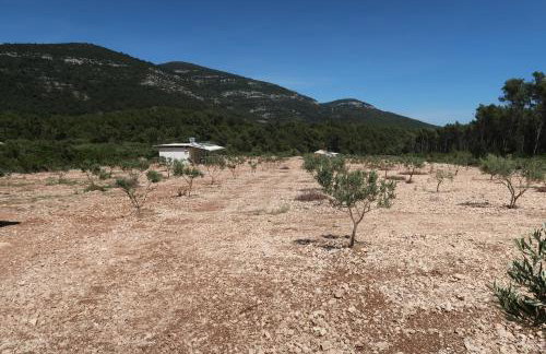 Robinson olive tree huts - Photo 22