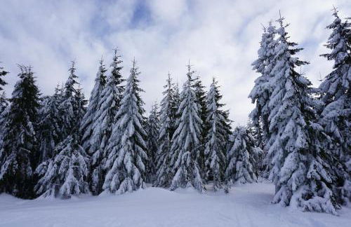 Ferienwohnungen Pichler - Foto 18